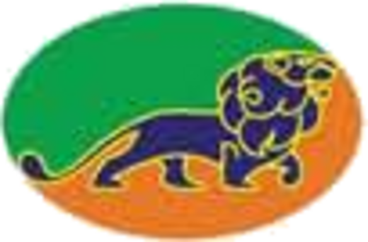 Lion King Construction Group Co., Ltd. logo